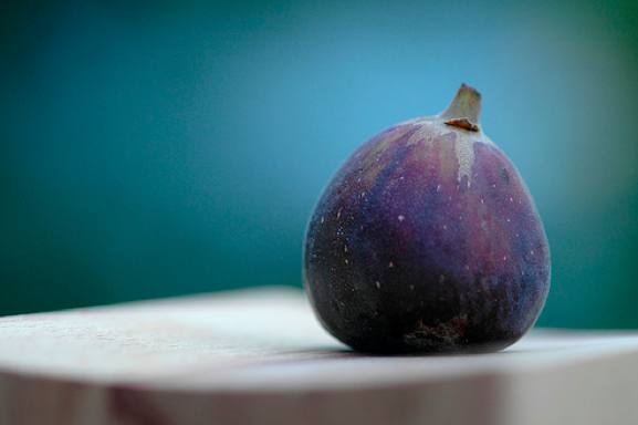 the accidental scientist: Figs, figs and more figs